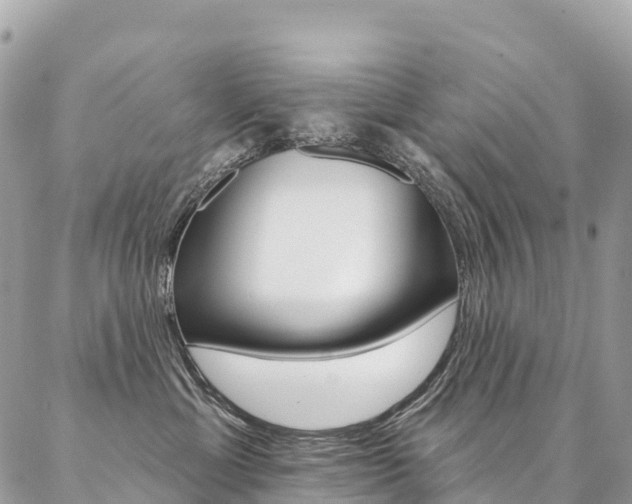 X0000087340429200704200750