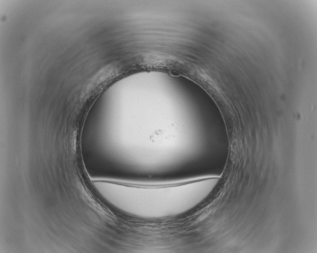 X0000087340454200704200750