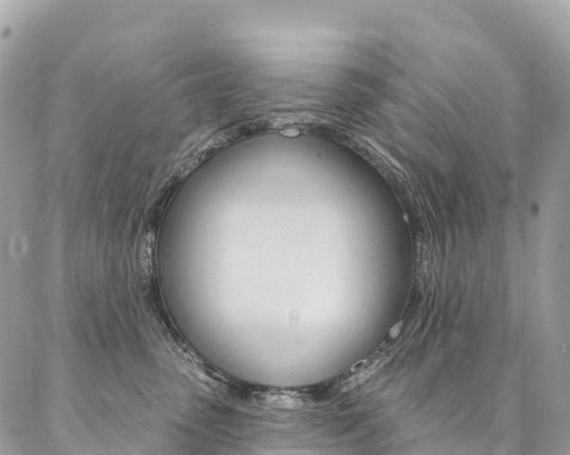 X0000087340475200704200750