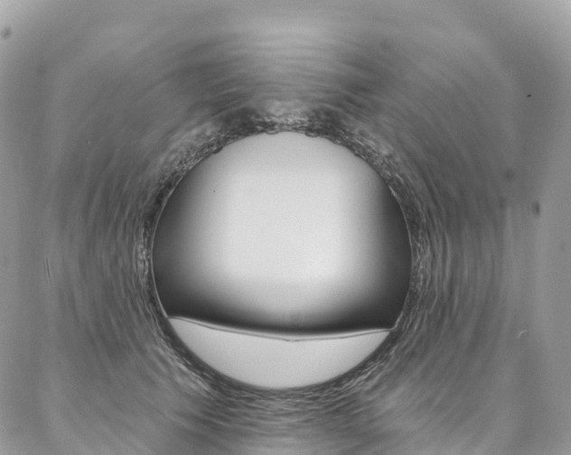 X0000087340609200704200747