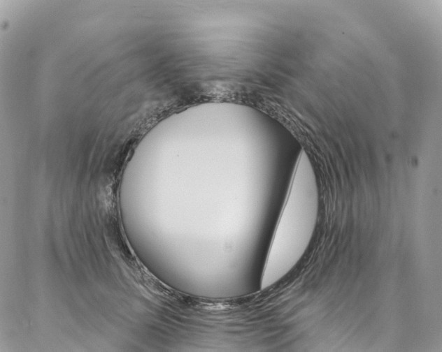 X0000087340611200704200747