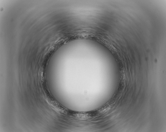 X0000087340615200704200747