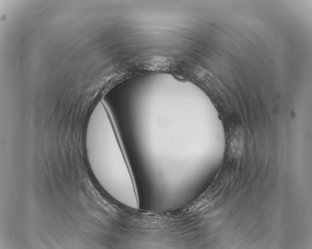 X0000087340620200704200747