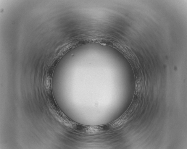 X0000087340623200704200747