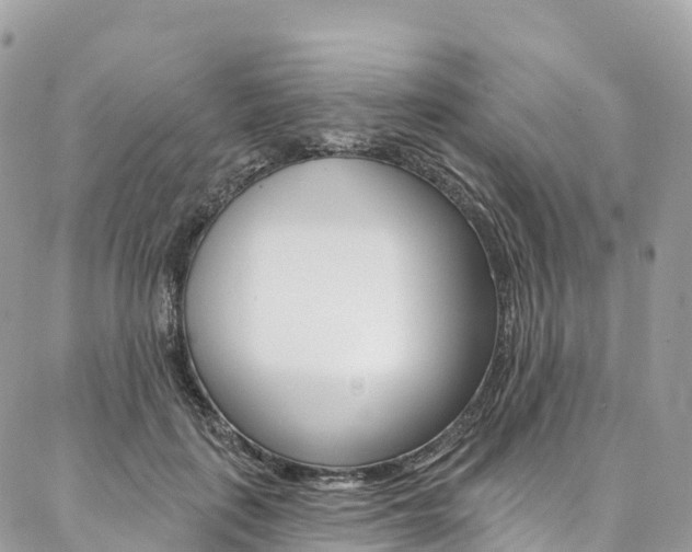 X0000087340651200704200747
