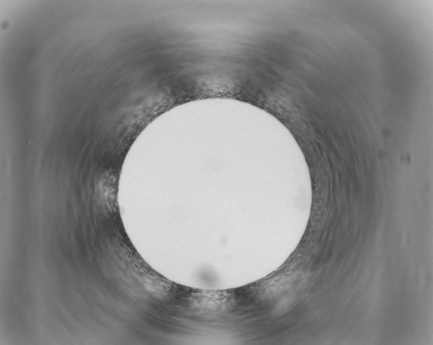 X0000087340672200704200747