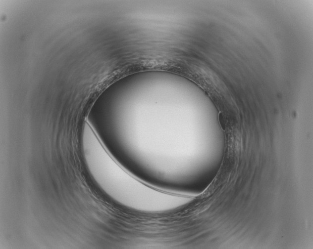 X0000087340700200704200746