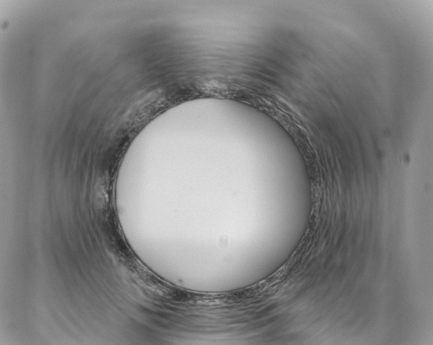 X0000087340702200704200746
