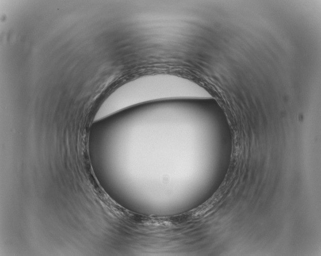 X0000087340712200704200745
