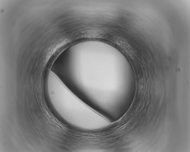 X0000087340727200704200745