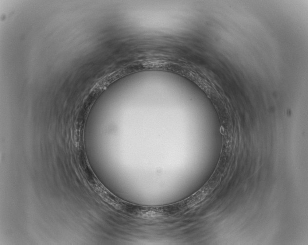X0000087340755200704200745