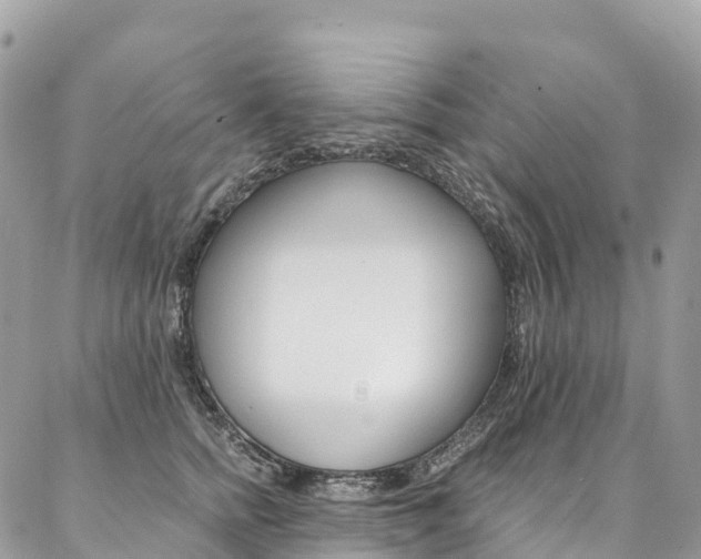 X0000087340758200704200745