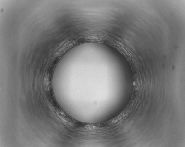 X0000087340764200704200745