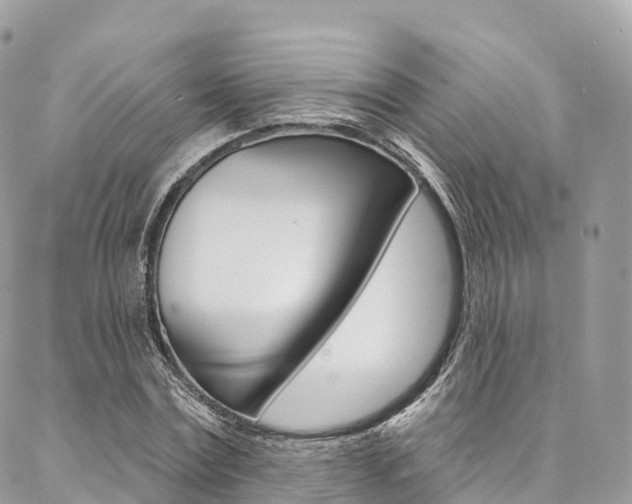 X0000087340779200704200744