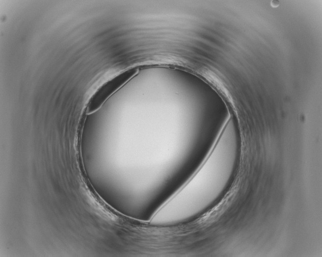 X0000087340797200704200744