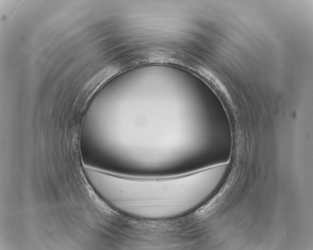 X0000087340801200704200744