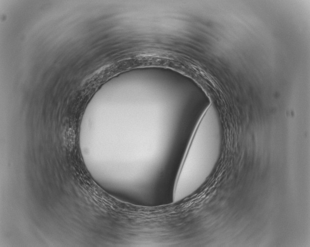 X0000087340821200704200743