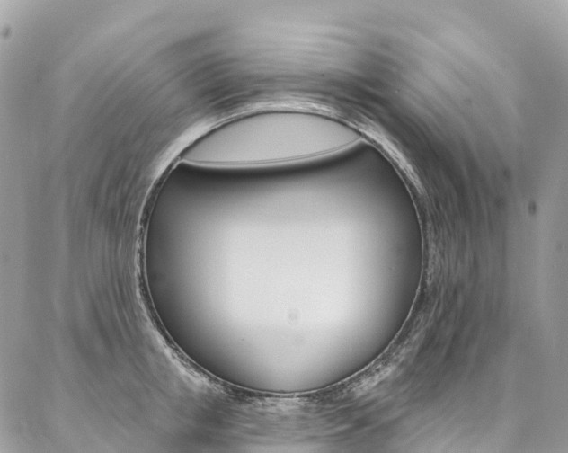X0000087340853200704200744