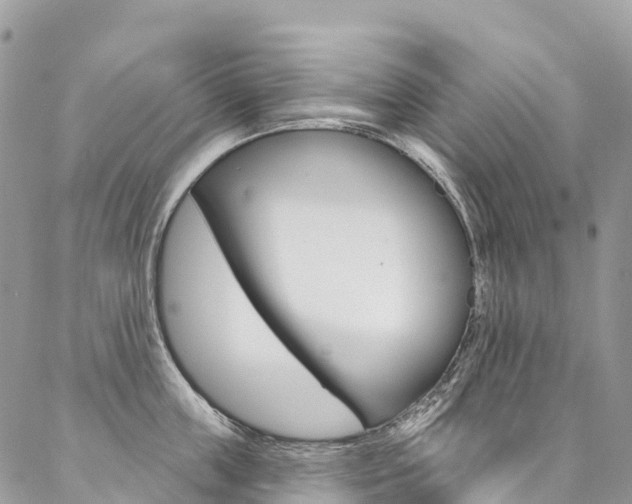 X0000087340859200704200744