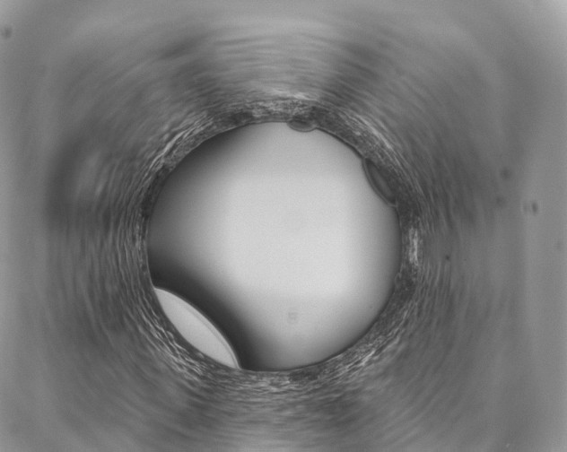 X0000087340915200704200741