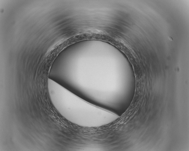 X0000087340919200704200742