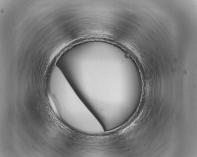 X0000087340925200704200742