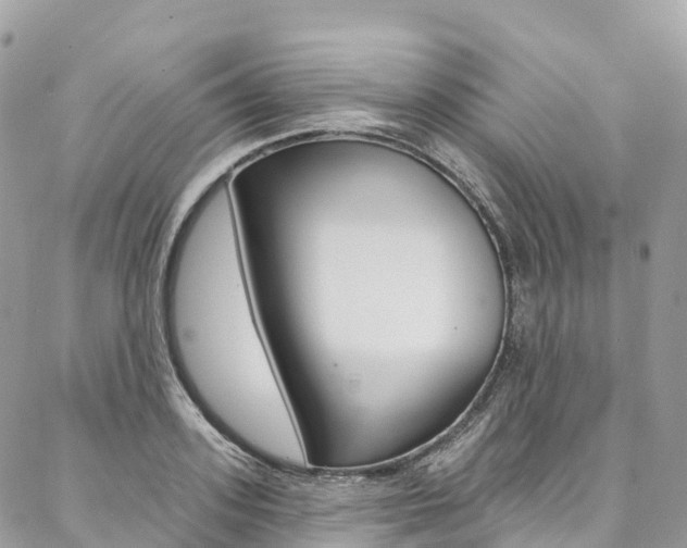 X0000087340939200704200742