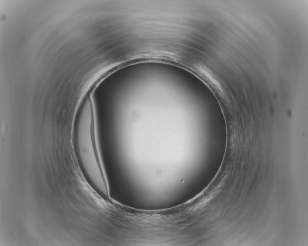 X0000087340940200704200742