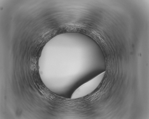 X0000087340964200704200741