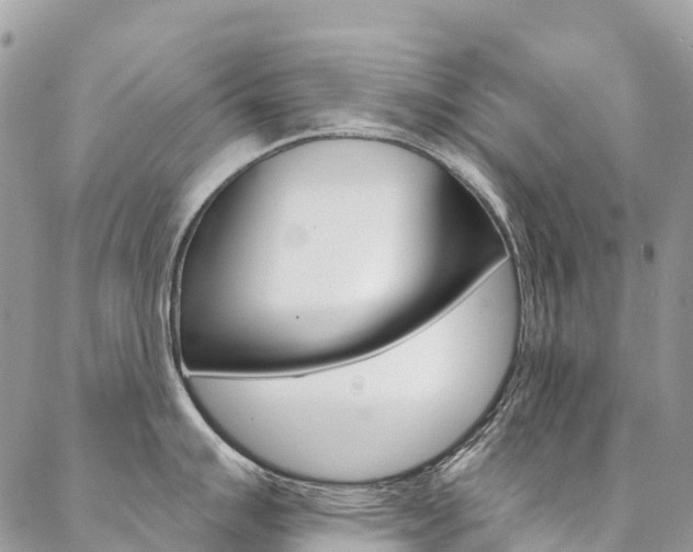 X0000087341007200704200741