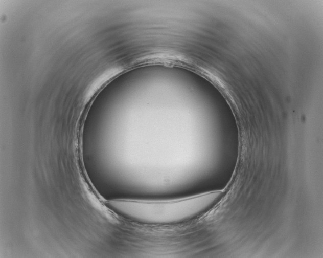 X0000087341042200704200740