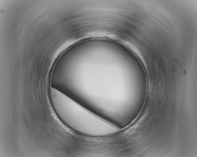 X0000087341045200704200740