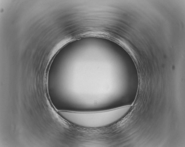 X0000087341050200704200741
