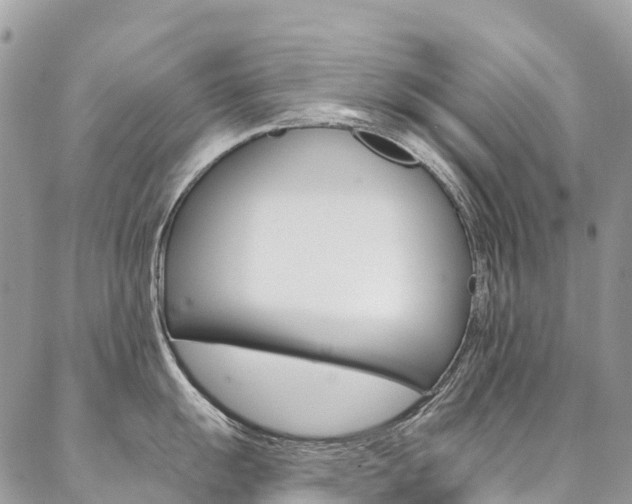 X0000087341055200704200741