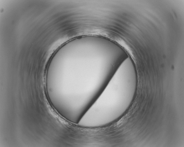 X0000087341088200704200739