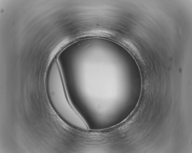 X0000087341180200704200738