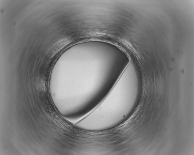 X0000087341209200704200737