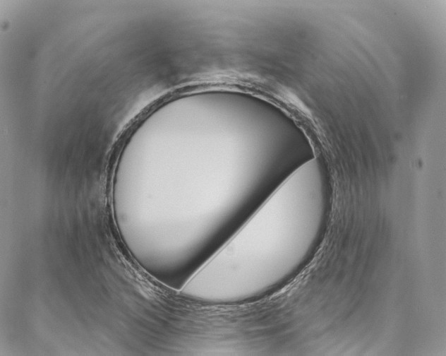 X0000087341216200704200737