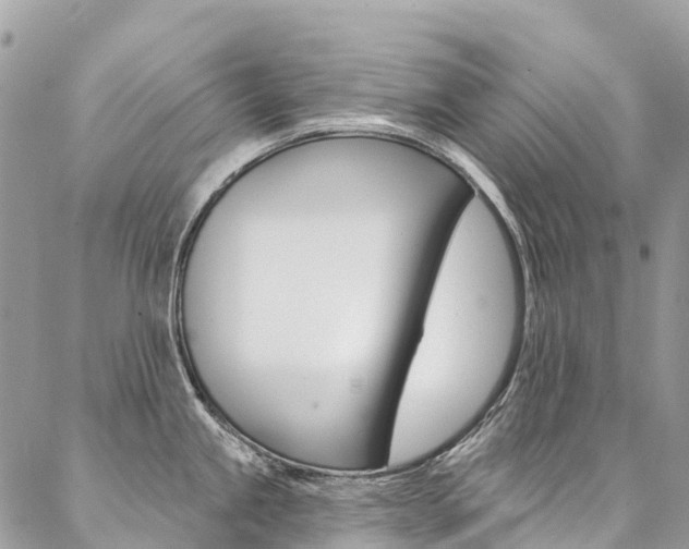 X0000087341245200704200737
