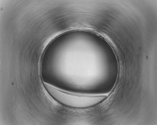 X0000087341246200704200737
