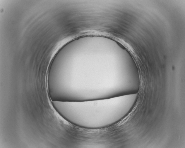 X0000087341247200704200737
