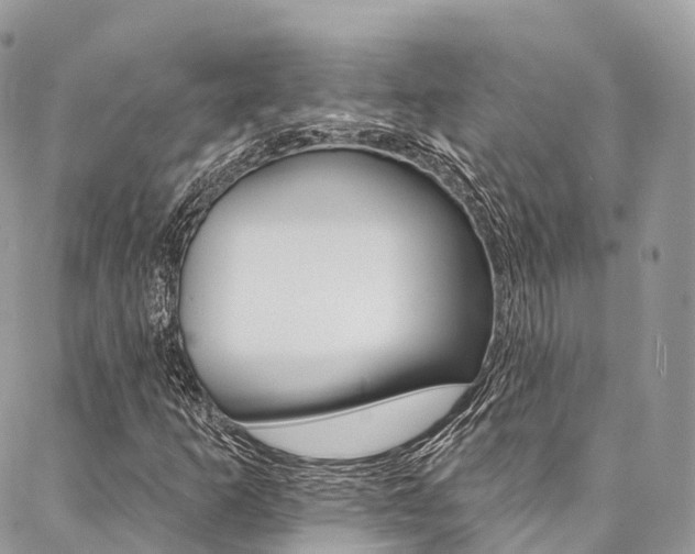 X0000087341253200704200737