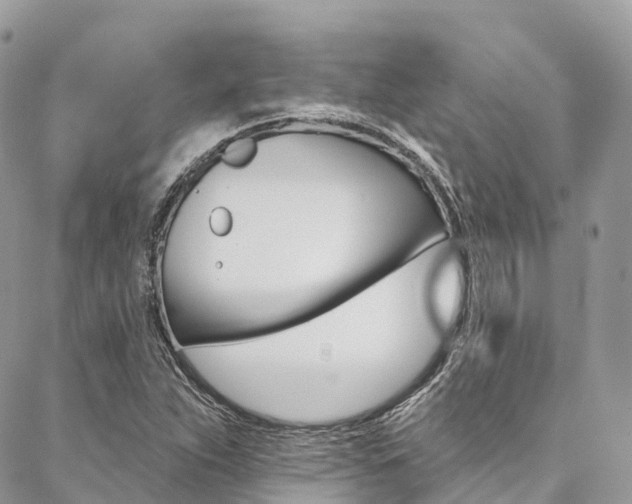 X0000087341263200704200736