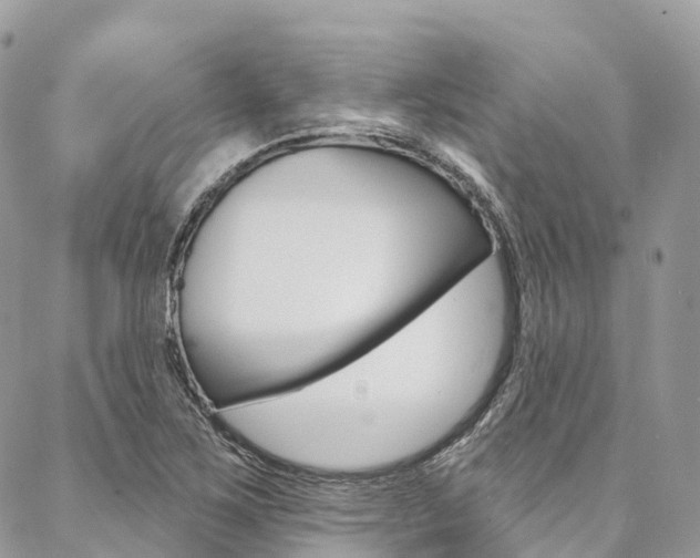 X0000087341267200704200736