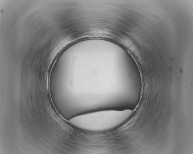 X0000087341275200704200736
