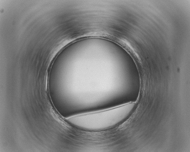 X0000087341276200704200736