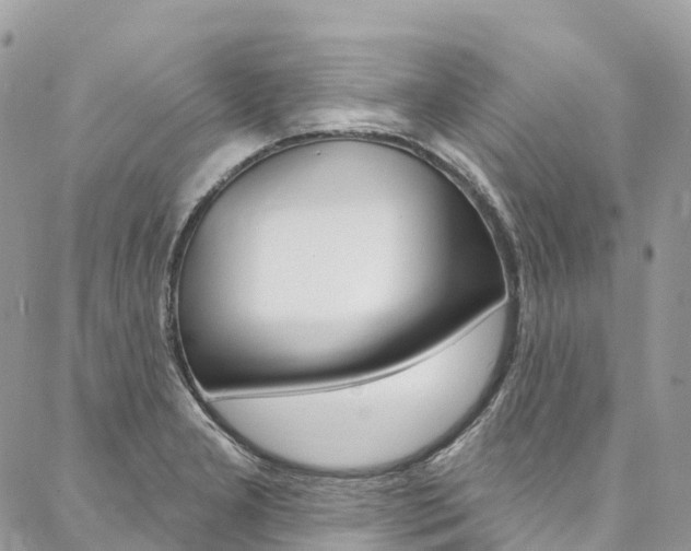 X0000087341277200704200736