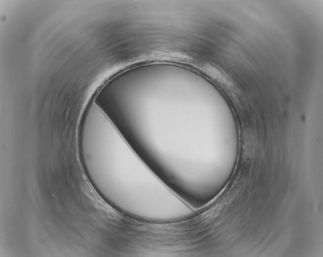 X0000087341280200704200736