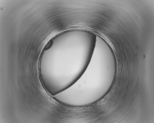 X0000087341291200704200736