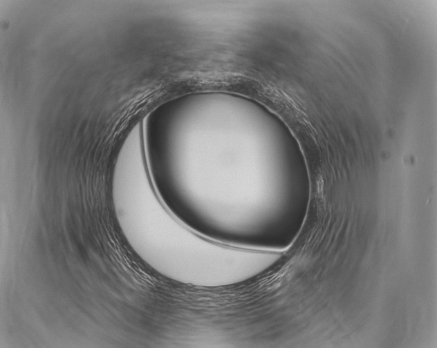 X0000087341300200704200735